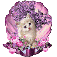 Cat Kitty Sticker