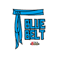 Martial Arts Artes Marciais Sticker by TKA Kung Fu