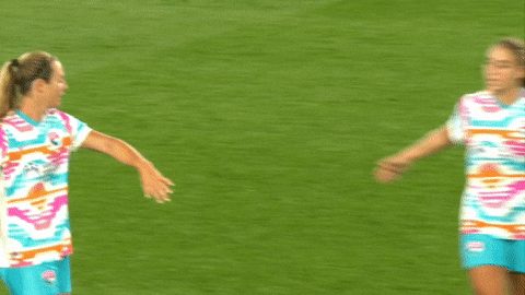 2025 GIF by National Women's Soccer League