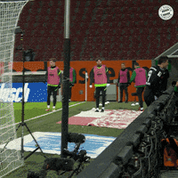 Goal Tor GIF by FC Bayern Munich