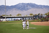 Wildcats College Softball GIF by Northwestern Athletics