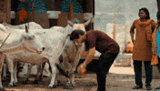 Rajkummar Rao Trending GIF by MaddockFilms