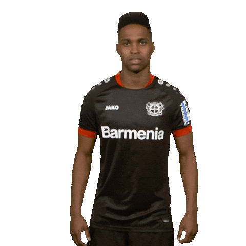 Posing Bayer 04 Sticker by Bundesliga