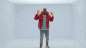 Loop Drake GIF