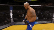 brock lesnar ufc GIF