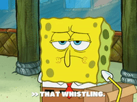 season 6 pet or pets GIF by SpongeBob SquarePants