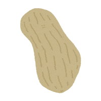 Peanut Kachin Sticker