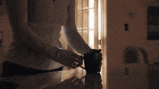 Asir GIF by Atlantic Sotheby's International Realty