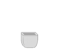 Plant Cactus Sticker