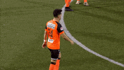 GIF by FOX Sports