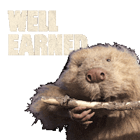 The_Woodsman_Whisky wood whisky beaver reward Sticker