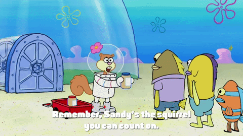 season 9 episode 23 GIF by SpongeBob SquarePants