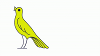 Modena Calcio
