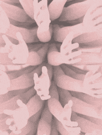 Animation Design GIF by Borrachas