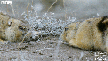 snog love GIF by BBC