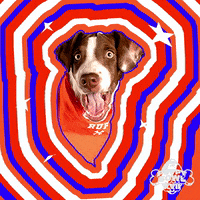 Surprise Reaction GIF by Puppy Bowl