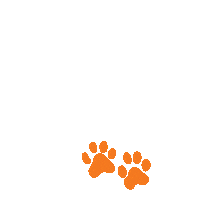 pacificgraduateschool powercat uopacific uopgrad pacificgraduateschool Sticker