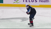 Ice Hockey Usa GIF by International Ice Hockey Federation