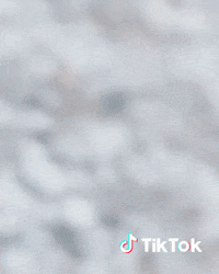 Bonjour Bjr GIF by TikTok France