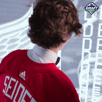 nhl sports sport hockey hair GIF