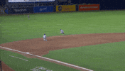Blue Jays Baseball GIF by Toronto Blue Jays