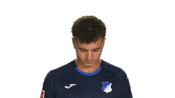 Look Up Tsg Hoffenheim Sticker by Bundesliga