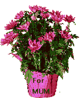 mothers day mom STICKER