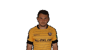 Goal Smile Sticker by SG Dynamo Dresden