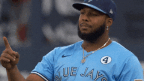 Well Done Smile GIF by Toronto Blue Jays
