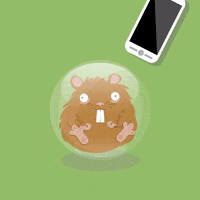 ImFlydesign cartoon illustration design fly GIF