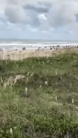 North Carolina Beachgoers Form Human Chain in Attempt to Rescue Swimmer
