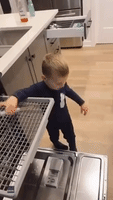 Toddler Is Very Cautious When Taking Knives Out of Dishwasher
