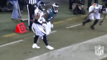 philadelphia eagles football GIF by NFL