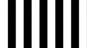 Sksturm GIF by SK Sturm Graz