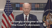 Joe Biden GIF by GIPHY News