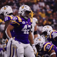 College Football GIF by LSU Tigers