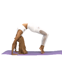 yogaacademy yogaacademy yoga academy merve tanriverdi mervetanriverdi Sticker
