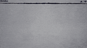 NevadaWolfPack wolfpack nevada xc crosscountry GIF