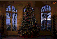 GIF by Demic