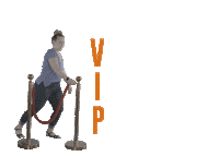 South Carolina Marketing Sticker by Craft Creative