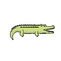 School Alligator Sticker
