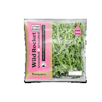 Pink Rocket Sticker by G's Fresh