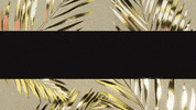 sean paul gold GIF by Valentino Khan