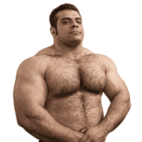 Bodybuilder Gay Bear Sticker by Database數據