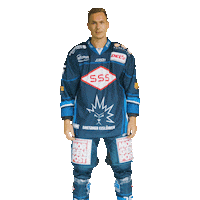 Dresden Del2 Sticker by Dresdner Eisloewen