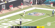 2018 Nfl Thank You GIF by NFL
