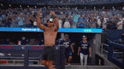 Celebrate Blue Jays GIF by Toronto Blue Jays