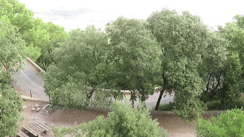 lektora_verlag giphyupload GIF