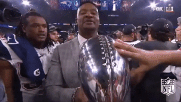 New England Patriots Football GIF by NFL