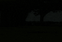 Feeding Deer GIF by Wondeerful farm